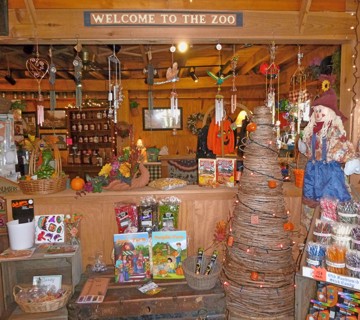 Market shelves