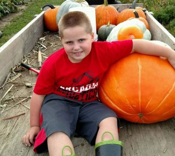 Pumpkins on the farm